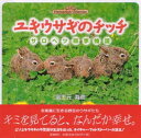 ユキウサギのチッチ サロベツ四季物語