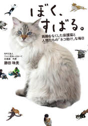 乐天商城 - ぼく、すばる。 両脚をなくした保護猫と人間たちの「ネコ助け」な毎日