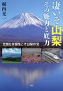 凄いぞ山梨その魅力と底力 比類なき個性こそ山梨の宝