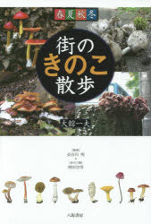 街のきのこ散歩 春夏秋冬