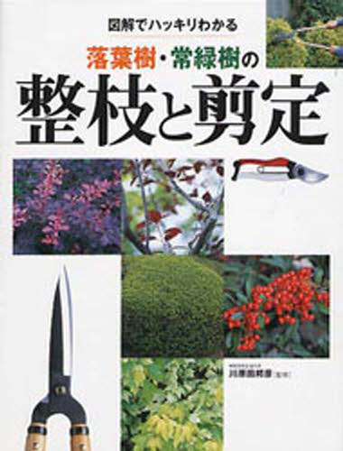 図解でハッキリわかる落葉樹・常緑樹の整枝と剪定