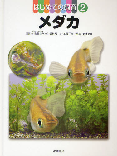 はじめての飼育 2