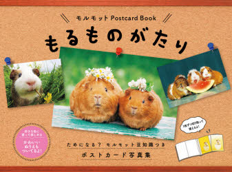 モルモットPostcardBookその他詳しい納期他、ご注文時はご利用案内・返品のページをご確認ください出版社名ジーオーティー出版年月2021年08月サイズISBNコード9784823602092芸術 アート写真集 ペット写真集商品説明もるものがたりモル モノガタリ モルモツト ポストカ-ド ブツク※ページ内の情報は告知なく変更になることがあります。あらかじめご了承ください登録日2021/08/11