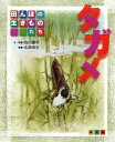 タガメ