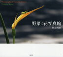 野菜の花写真館