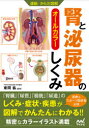 腎と泌尿器のしくみ オールカラー
