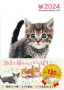 2024N Schedule Book CAT