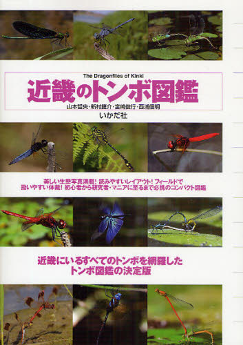 近畿のトンボ図鑑