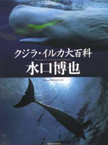 クジラ・イルカ大百科