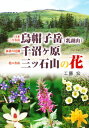 日本三百名山烏帽子岳〈乳頭山〉・東北の尾瀬千沼ケ原・花の名山三ツ石山の花