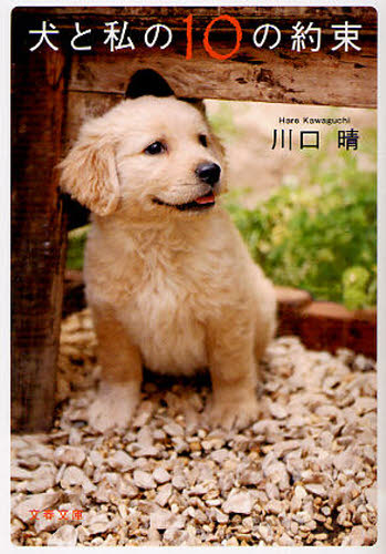 犬と私の10の約束