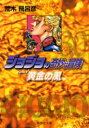 ジョジョの奇妙な冒険 30