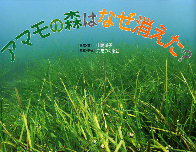 アマモの森はなぜ消えた?
