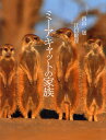 ミーアキャットの家族