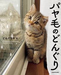 どんぐりママ／著本詳しい納期他、ご注文時はご利用案内・返品のページをご確認ください出版社名KADOKAWA出版年月2022年04月サイズ109P 18cmISBNコード9784046813503芸術 アート写真集 ペット写真集商品説明パヤ毛のどんぐりパヤゲ ノ ドングリいたずらっこで甘えん坊。存在だけで癒し。どんぐり（♂）のほっこり日常。Beauty かわいさのヒミツ｜Living 子猫のための部屋づくり｜Fashion おしゃれのキホン｜Exercise 目指せ、美ボディ｜Business 子猫のお仕事｜Food おいしいものいろいろ｜Family ママとの暮らし｜Relax のんびり＆まったり｜Time for Adults オトナの時間※ページ内の情報は告知なく変更になることがあります。あらかじめご了承ください登録日2022/04/27