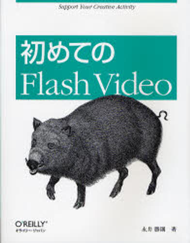 初めてのFlash Video