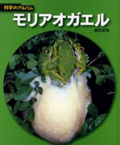 増田戻樹／著科学のアルバム 動物・鳥7本詳しい納期他、ご注文時はご利用案内・返品のページをご確認ください出版社名あかね書房出版年月2005年04月サイズ60P 23cmISBNコード9784251033604児童 学習 動物・植物・魚・虫商品説明モリアオガエル 新装版モリアオガエル カガク ノ アルバム ドウブツ／トリ-7※ページ内の情報は告知なく変更になることがあります。あらかじめご了承ください登録日2013/04/04