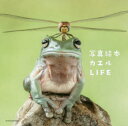 カエルLIFE 写真絵本