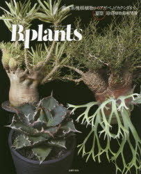 ビザールプランツ 灌木系塊根植物からアガベ ビカクシダまで 夏型珍奇植物最新情報