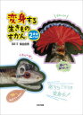 柴田佳秀／監修・文本詳しい納期他、ご注文時はご利用案内・返品のページをご確認ください出版社名鈴木出版出版年月2021年01月サイズ40P 29cmISBNコード9784790233794児童 学習 学習その他商品説明変身する生きものずかん 2ヘンシン スル イキモノ ズカン 2 2 ヘンシン スル ケイ古い皮ふをぬぎすてる—脱皮で変身｜たちまち体の色を変えるおどろきの術—体の色を変化させて変身｜生きものたちも季節で衣がえ—着かえて変身｜求愛や身を守るためにインパクト勝負—アピールで変身※ページ内の情報は告知なく変更になることがあります。あらかじめご了承ください登録日2021/05/18