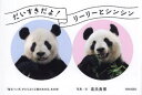 だいすきだよ!リーリーとシンシン 「毎日パンダ」がとらえた2頭のあの日、あの時