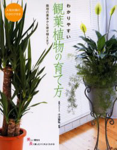 わかりやすい観葉植物の育て方 人気80種のカタログ付き 栽培の基本から寄せ植えまで