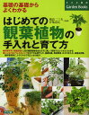 はじめての観葉植物の手入れと育て方 基礎の基礎からよくわかる