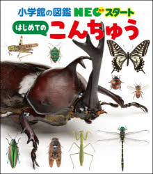 はじめてのこんちゅう