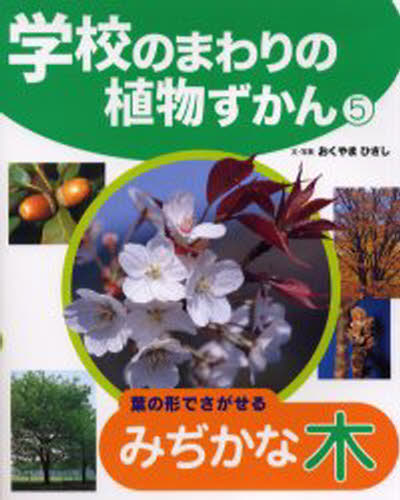 学校のまわりの植物ずかん 5