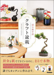 はじめてのクラフト盆栽