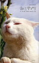 ねこサプリ 人によく効くNEKO-PHOTO150
