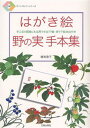 はがき絵野の実手本集 手工芸の図案にも応用できる77種・原寸下絵38点付き