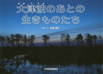 永幡嘉之／写真・文本詳しい納期他、ご注文時はご利用案内・返品のページをご確認ください出版社名少年写真新聞社出版年月2015年02月サイズ47P 19×27cmISBNコード9784879815149児童 創作絵本 写真絵本商品説明大津波のあとの生きものたちオオツナミ ノ アト ノ イキモノタチ※ページ内の情報は告知なく変更になることがあります。あらかじめご了承ください登録日2015/01/24