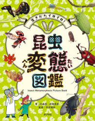 生きかたイロイロ!昆虫変態図鑑