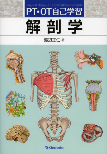乐天商城 - 解剖学 PT・OT自己学習