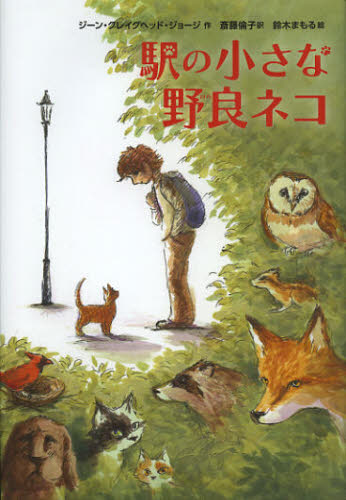 駅の小さな野良ネコ