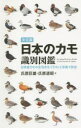 日本のカモ識別図鑑 決定版 日本産カモの全羽衣をイラストと写真で詳述