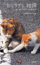 ねこサプリ相棒 人によく効くNEKO-PHOTO175