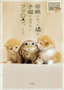 母親になった猫(マリモ)と子猫になりたいフクロウ(フク)。 フクとマリモの子育て日記
