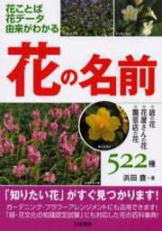 花の名前 花ことば花データ由来がわかる 庭の花・花屋さんの花・園芸店の花522種