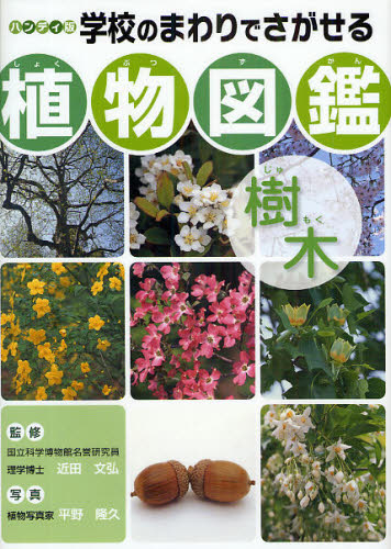 近田文弘／監修 平野隆久／写真本詳しい納期他、ご注文時はご利用案内・返品のページをご確認ください出版社名金の星社出版年月2009年03月サイズ127P 22cmISBNコード9784323056746児童 学習図鑑 学習図鑑その他商品説明学校のまわりでさがせる植物図鑑 ハンディ版 樹木ガツコウ ノ マワリ デ サガセル シヨクブツ ズカン ジユモク ハンデイバン※ページ内の情報は告知なく変更になることがあります。あらかじめご了承ください登録日2013/04/07