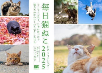 ’25 毎日猫ねこ 日めくりカレンダー
