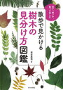 散歩で見かける樹木の見分け方図鑑 見て、嗅いで、触って楽しむ