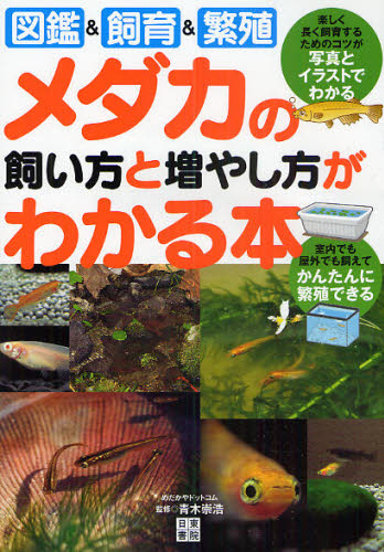 青木崇浩／監修本詳しい納期他、ご注文時はご利用案内・返品のページをご確認ください出版社名日東書院本社出版年月2010年05月サイズ111P 21cmISBNコード9784528017245生活 ペット 鑑賞魚商品説明メダカの飼い方と増やし方がわかる本 図鑑＆飼育＆繁殖メダカ ノ カイカタ ト フヤシカタ ガ ワカル ホン ズカン アンド シイク アンド ハンシヨク※ページ内の情報は告知なく変更になることがあります。あらかじめご了承ください登録日2013/04/07