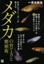 青木崇浩／監修本詳しい納期他、ご注文時はご利用案内・返品のページをご確認ください出版社名日東書院本社出版年月2013年06月サイズ160P 21cmISBNコード9784528017429生活 ペット 鑑賞魚商品説明日本一のブリーダーが教えるメダカの育て方と繁殖術ニホンイチ ノ ブリ-ダ- ガ オシエル メダカ ノ ソダテカタ ト ハンシヨクジユツ※ページ内の情報は告知なく変更になることがあります。あらかじめご了承ください登録日2013/05/24