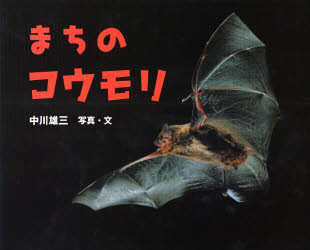 まちのコウモリ