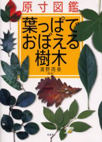 葉っぱでおぼえる樹木 原寸図鑑