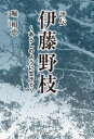 評伝伊藤野枝 あらしのように生きて