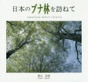 日本のブナ林を訪ねて