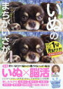 いぬのまちがいさがし ワン!ミニット1分見るだけ!記憶脳瞬間強化 チワワ大集合の巻